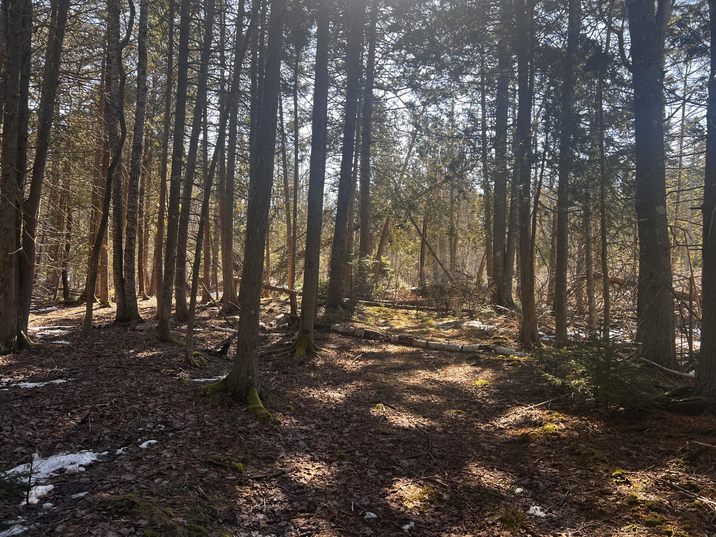 1148 Cape Rosier Road Brooksville ME 04617