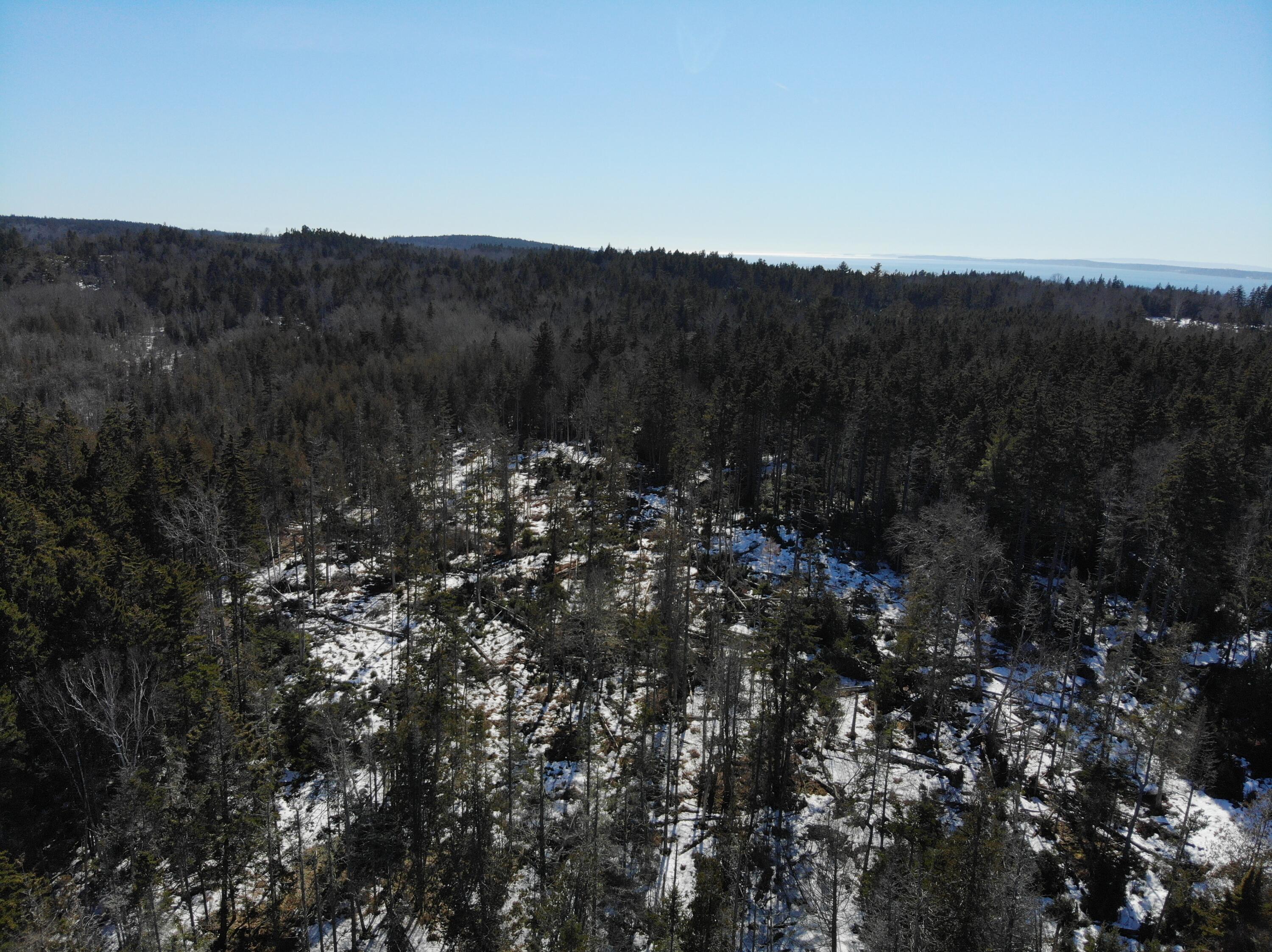 1148 Cape Rosier Road Brooksville ME 04617