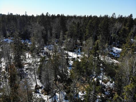 1148 Cape Rosier Road Brooksville ME 04617