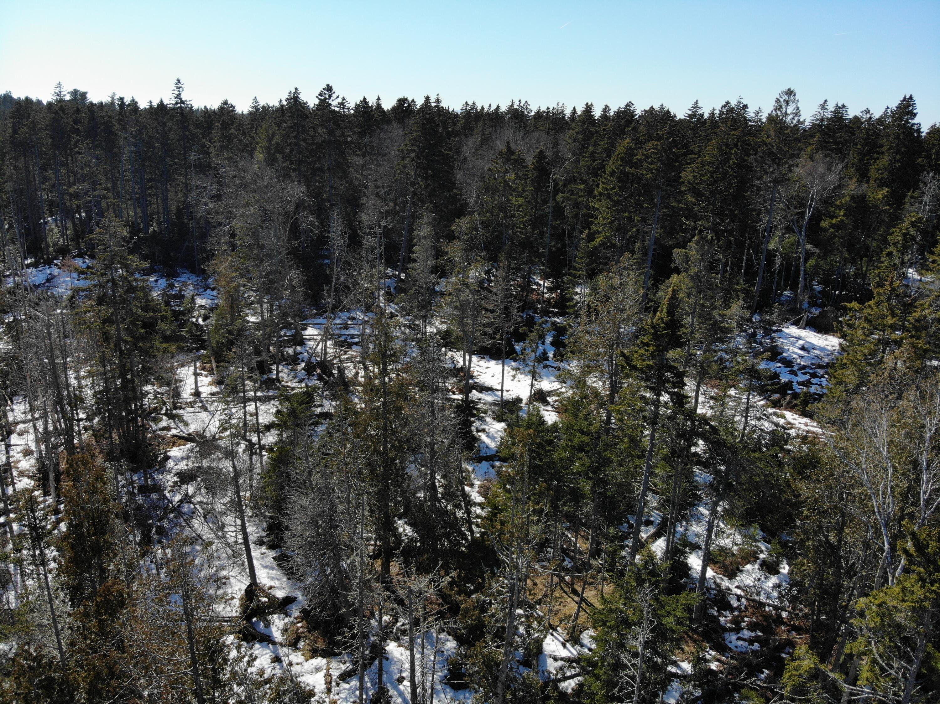 1148 Cape Rosier Road Brooksville ME 04617