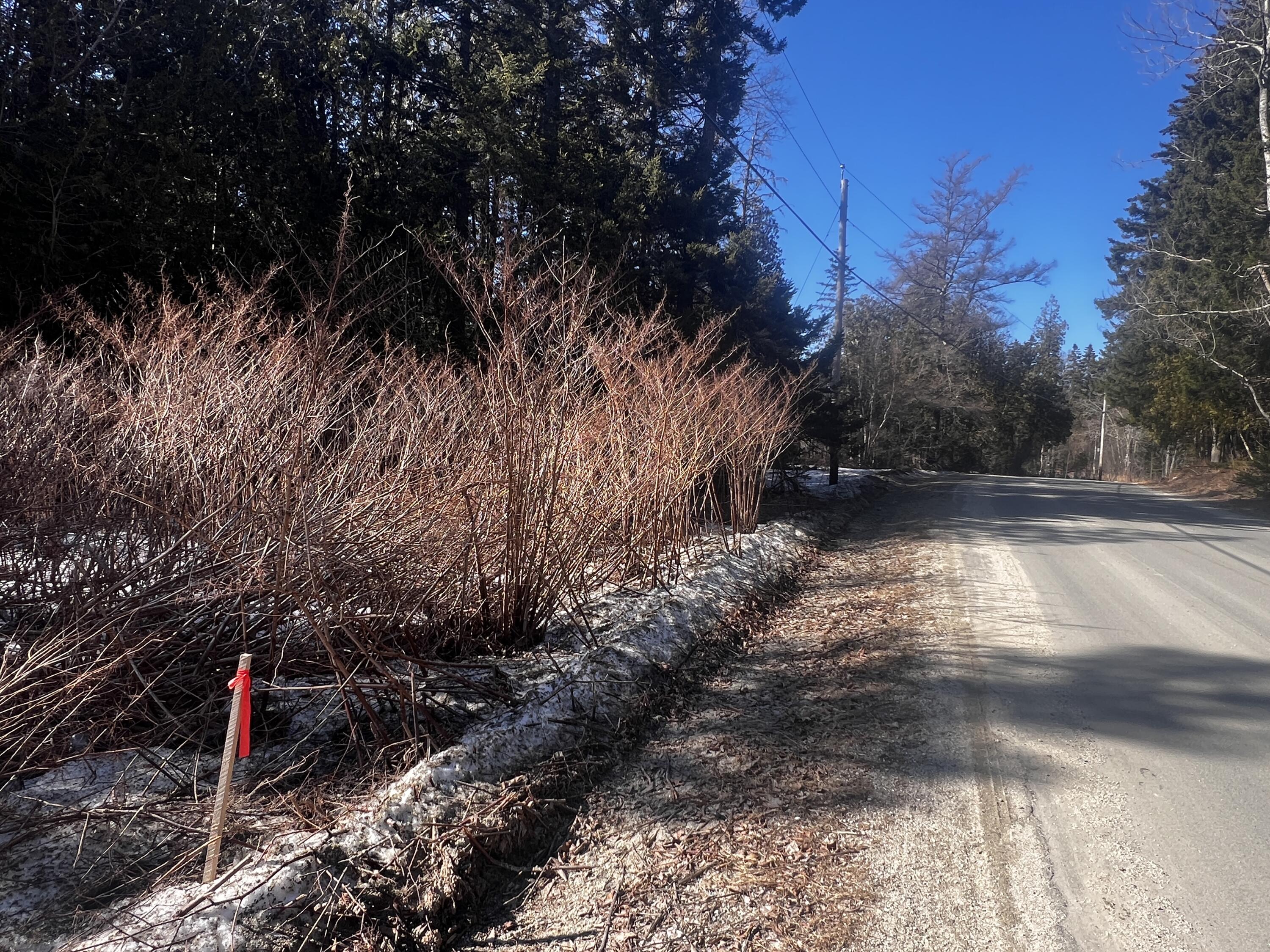 1148 Cape Rosier Road Brooksville ME 04617