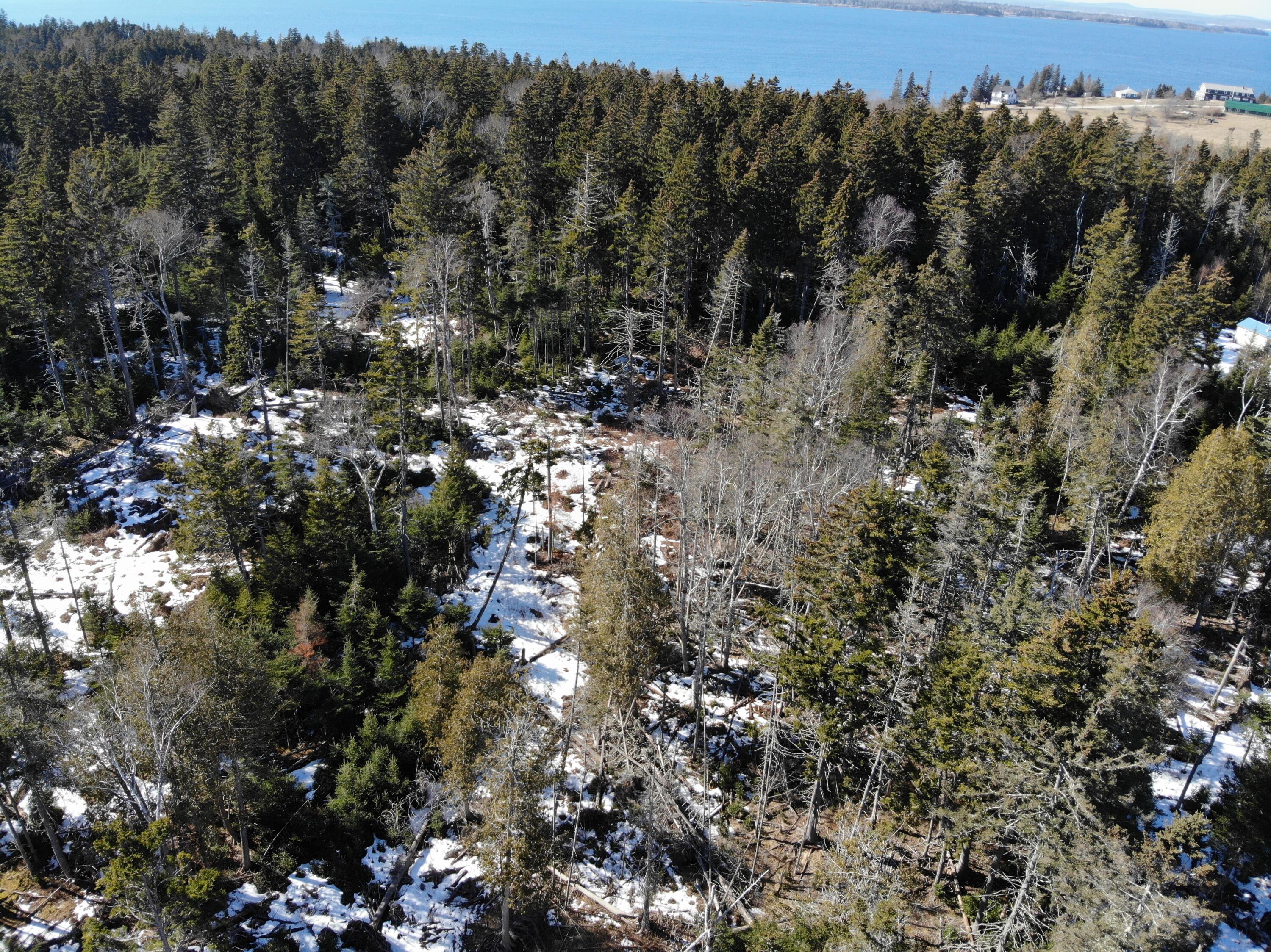 1148 Cape Rosier Road Brooksville ME 04617
