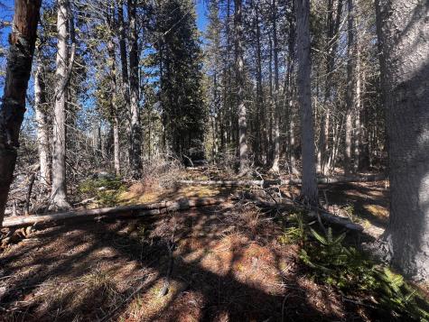 1148 Cape Rosier Road Brooksville ME 04617