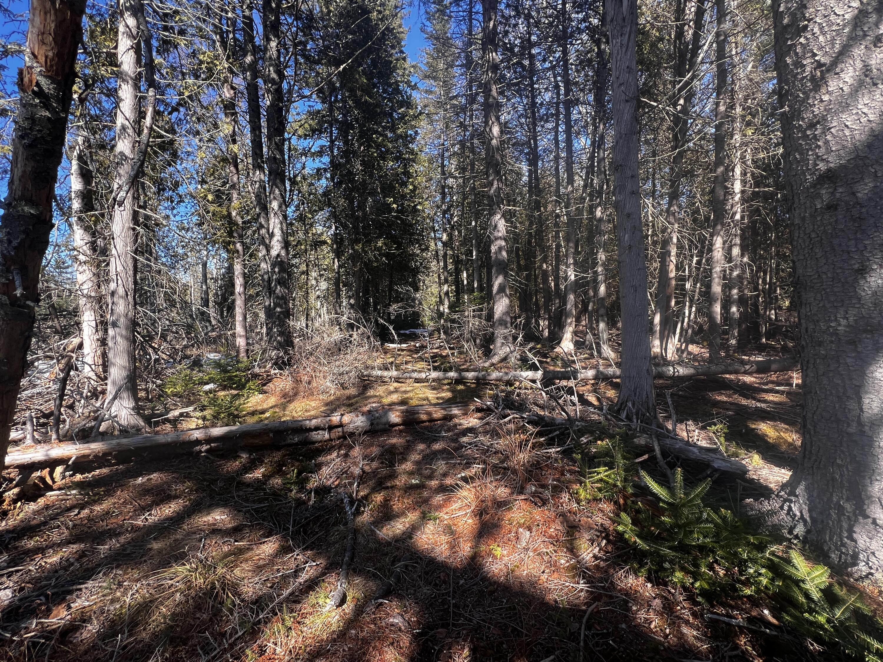 1148 Cape Rosier Road Brooksville ME 04617