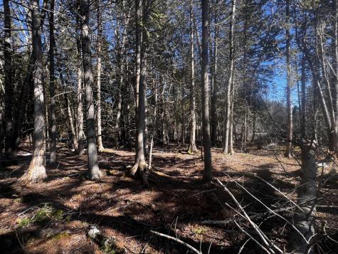 1148 Cape Rosier Road Brooksville ME 04617