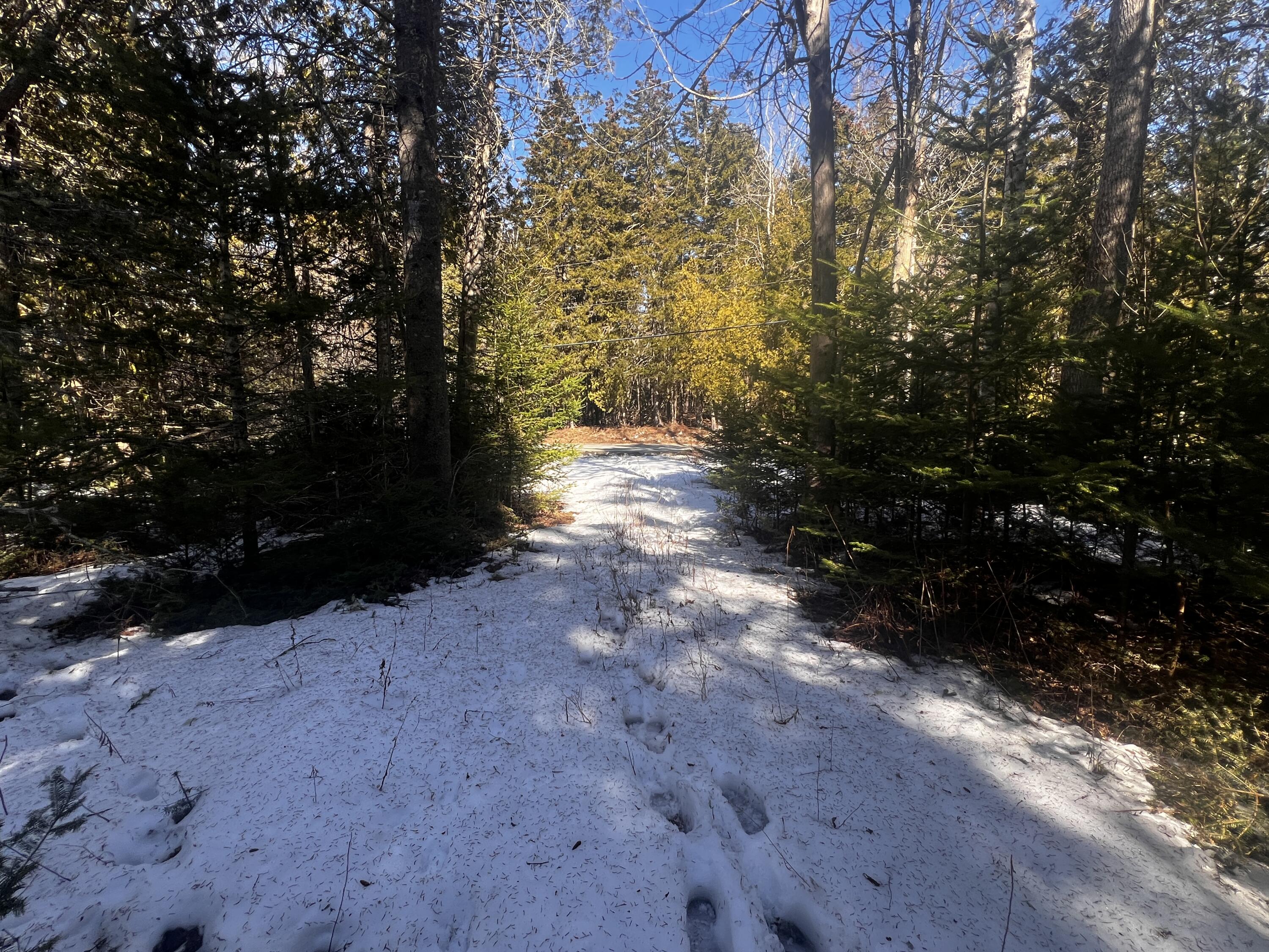 1148 Cape Rosier Road Brooksville ME 04617