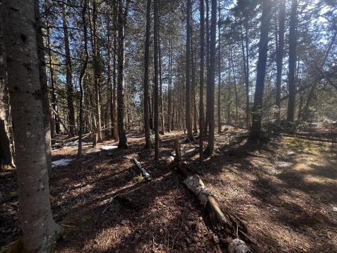 1148 Cape Rosier Road Brooksville ME 04617