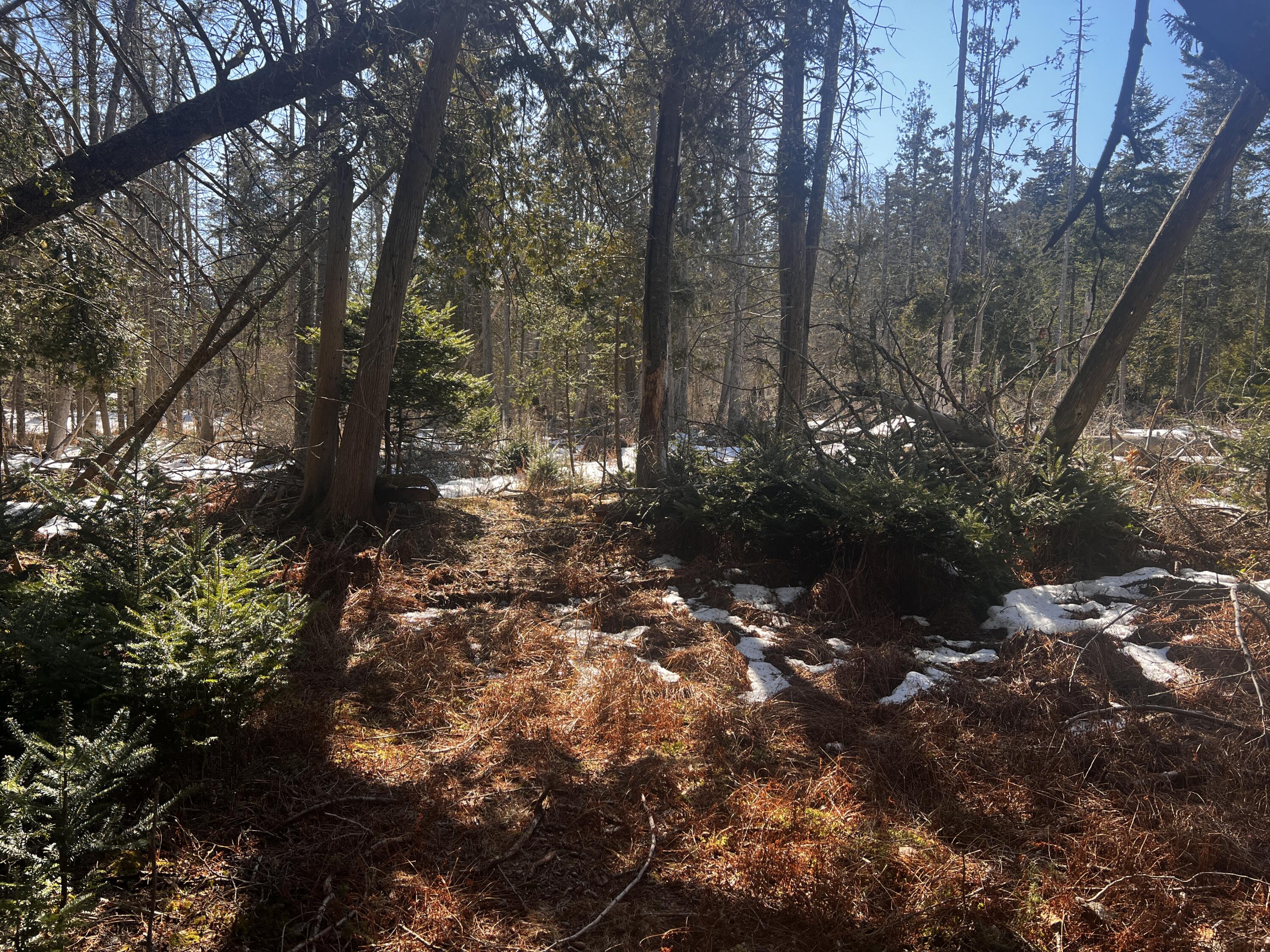 1148 Cape Rosier Road Brooksville ME 04617