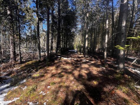 1148 Cape Rosier Road Brooksville ME 04617