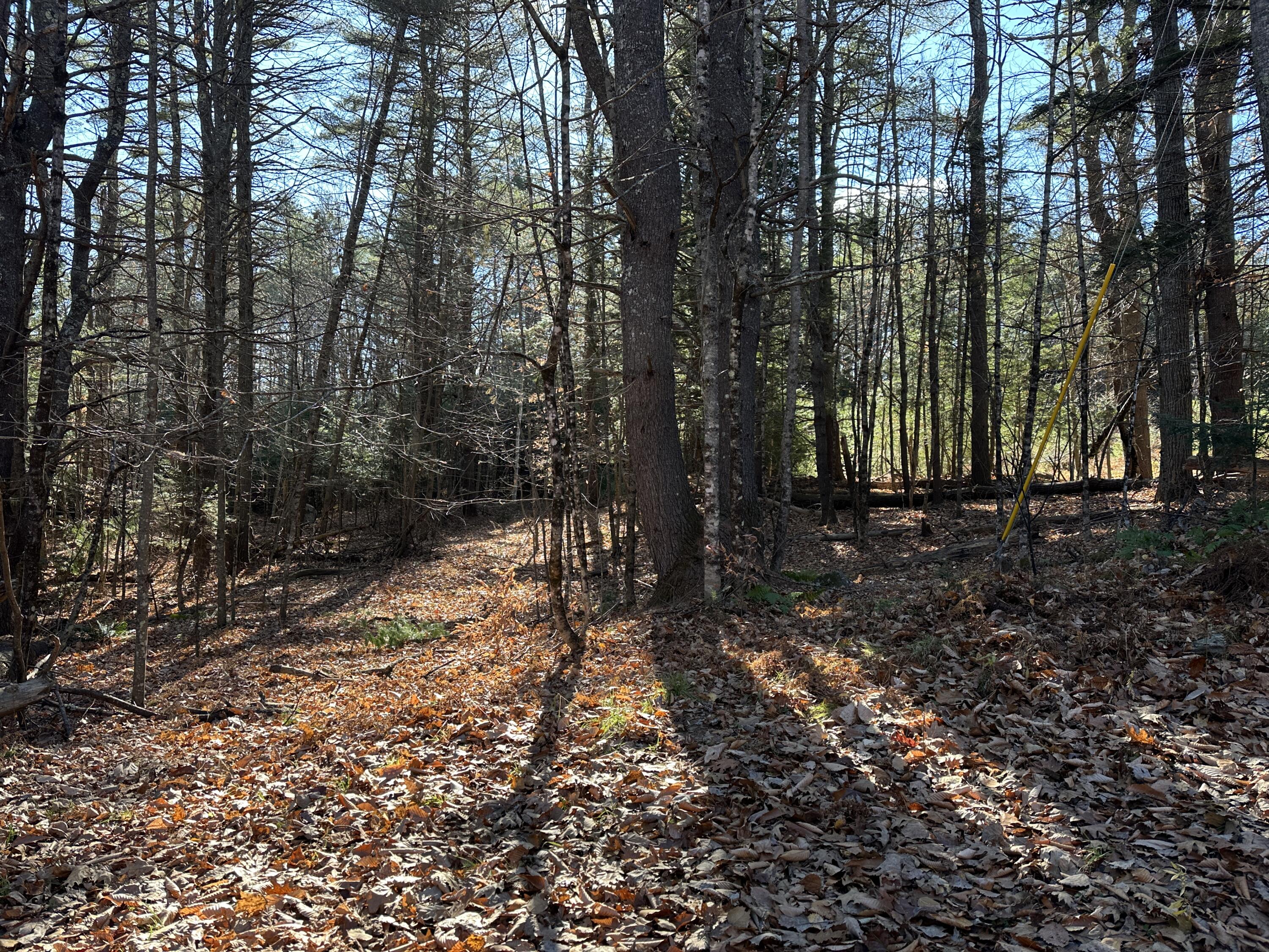 Lot 7 Five Seasons Road Mount Vernon ME 04352