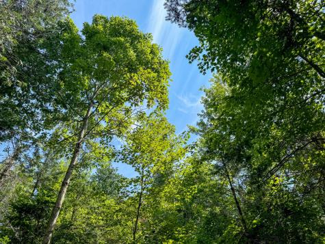 M9L20-1 Valley Road Plymouth ME 04969