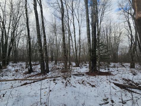 M2, L4 Off Sacarap Road Columbia ME 04623