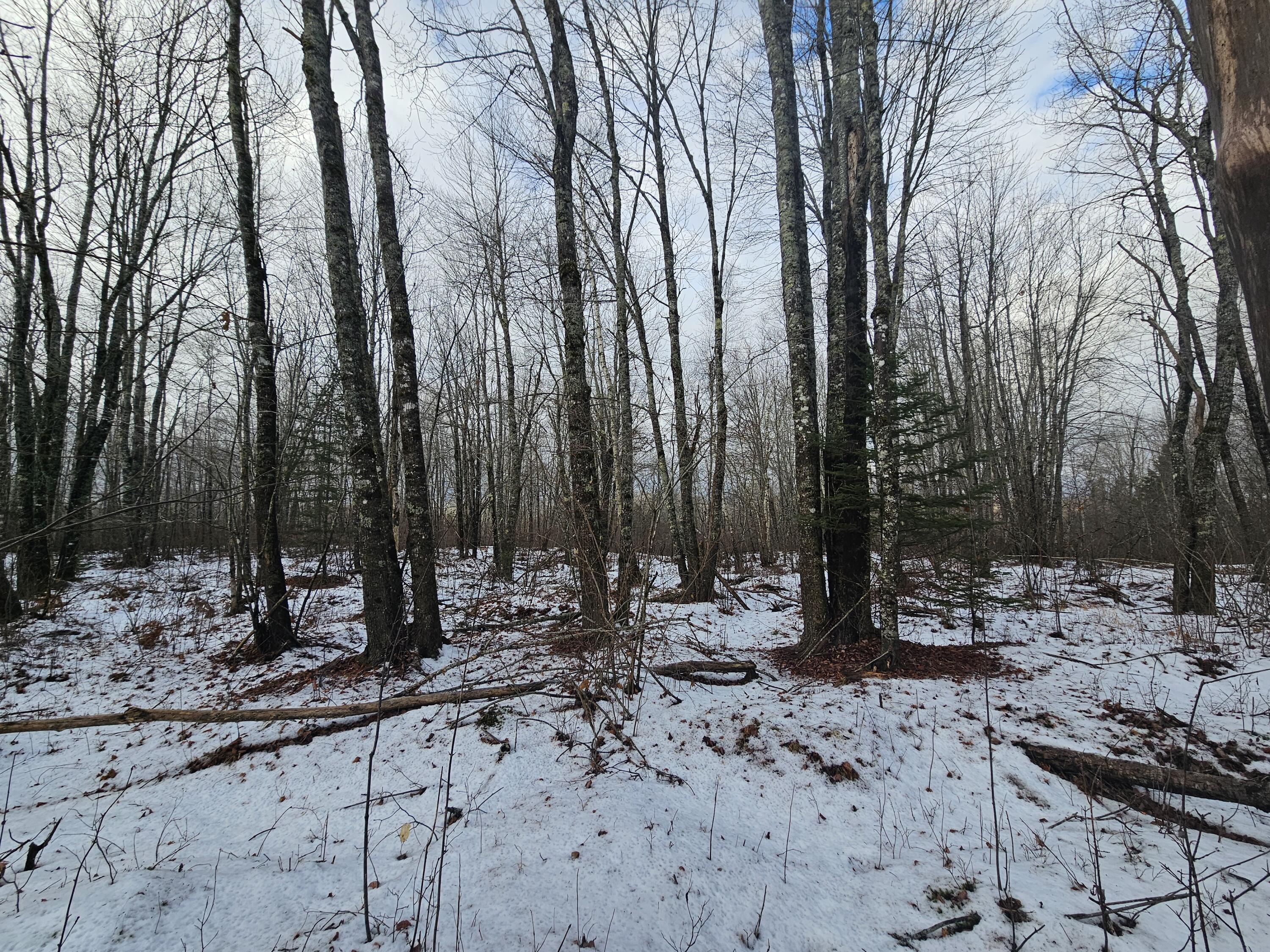 M2, L4 Off Sacarap Road Columbia ME 04623