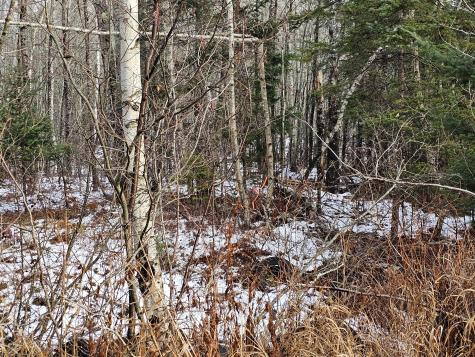 M2, L4 Off Sacarap Road Columbia ME 04623