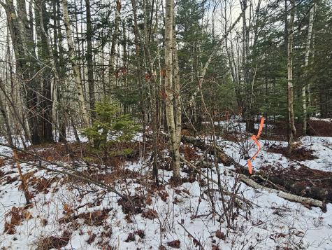 M2, L4 Off Sacarap Road Columbia ME 04623