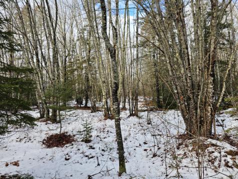 M2, L4 Off Sacarap Road Columbia ME 04623