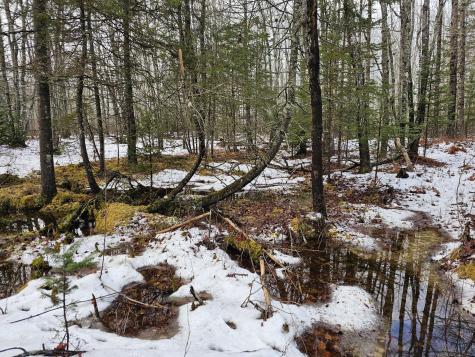 M2, L4 Off Sacarap Road Columbia ME 04623