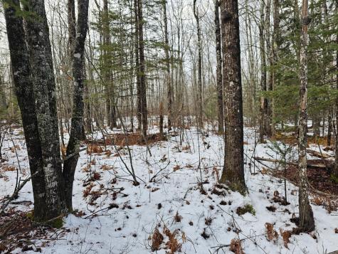 M2, L4 Off Sacarap Road Columbia ME 04623