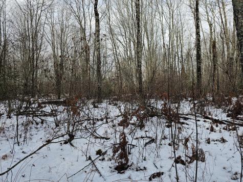 M2, L4 Off Sacarap Road Columbia ME 04623