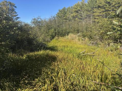 Lot 19-1 Green Valley Road Stockton Springs ME 04981