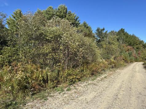 Lot 19-1 Green Valley Road Stockton Springs ME 04981