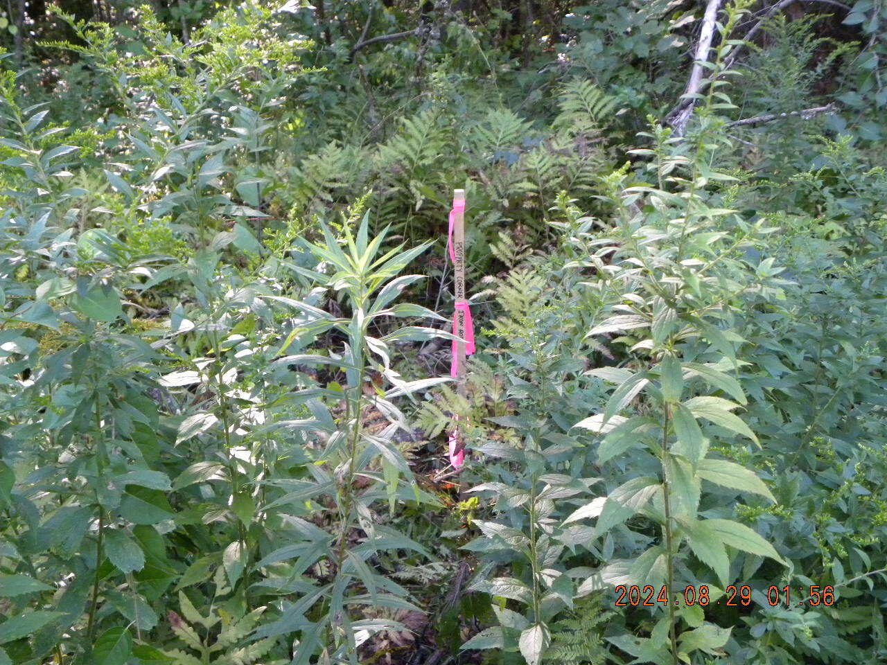 Lot A Bernier Road Sanford ME 04073