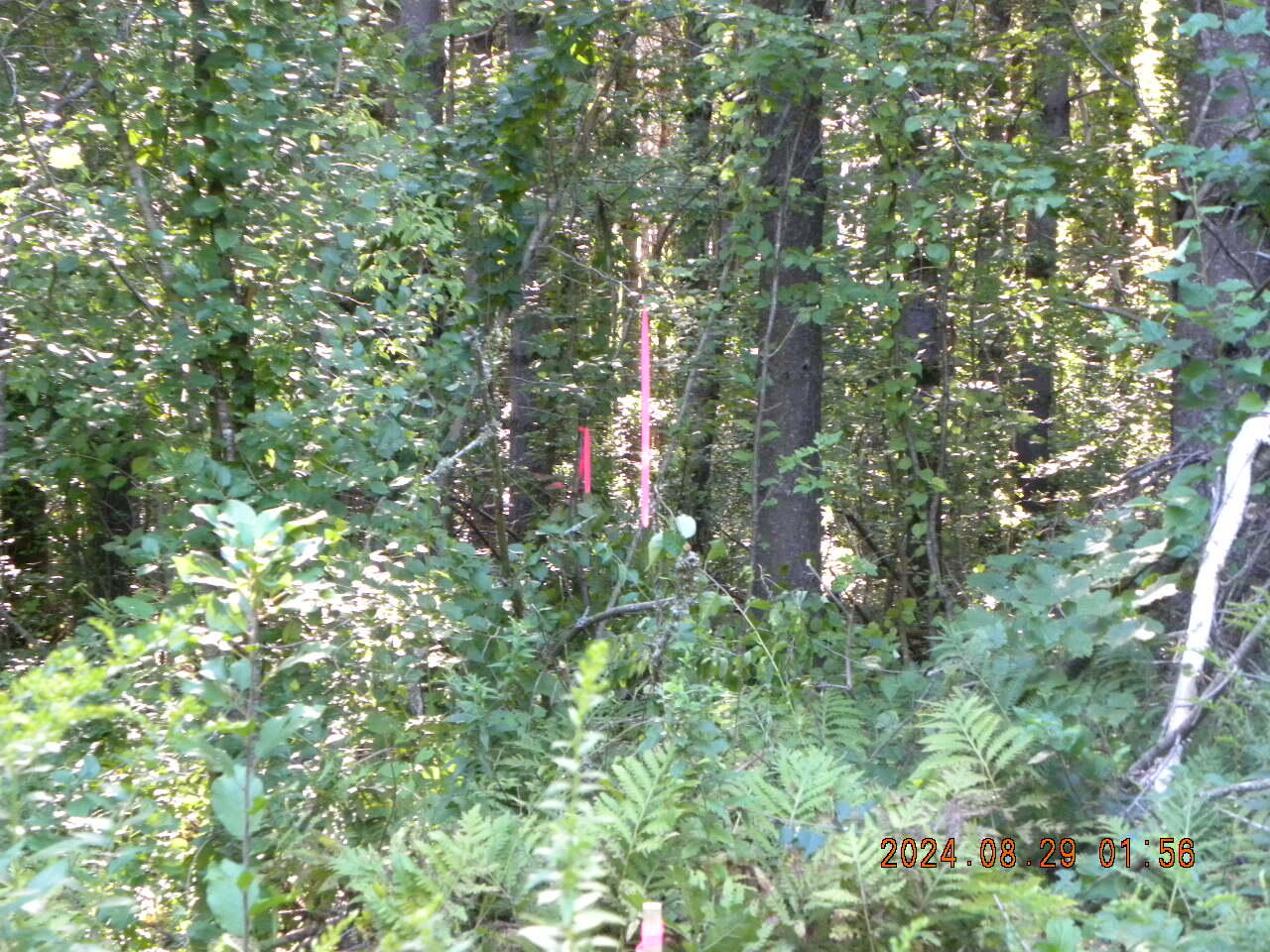 Lot A Bernier Road Sanford ME 04073