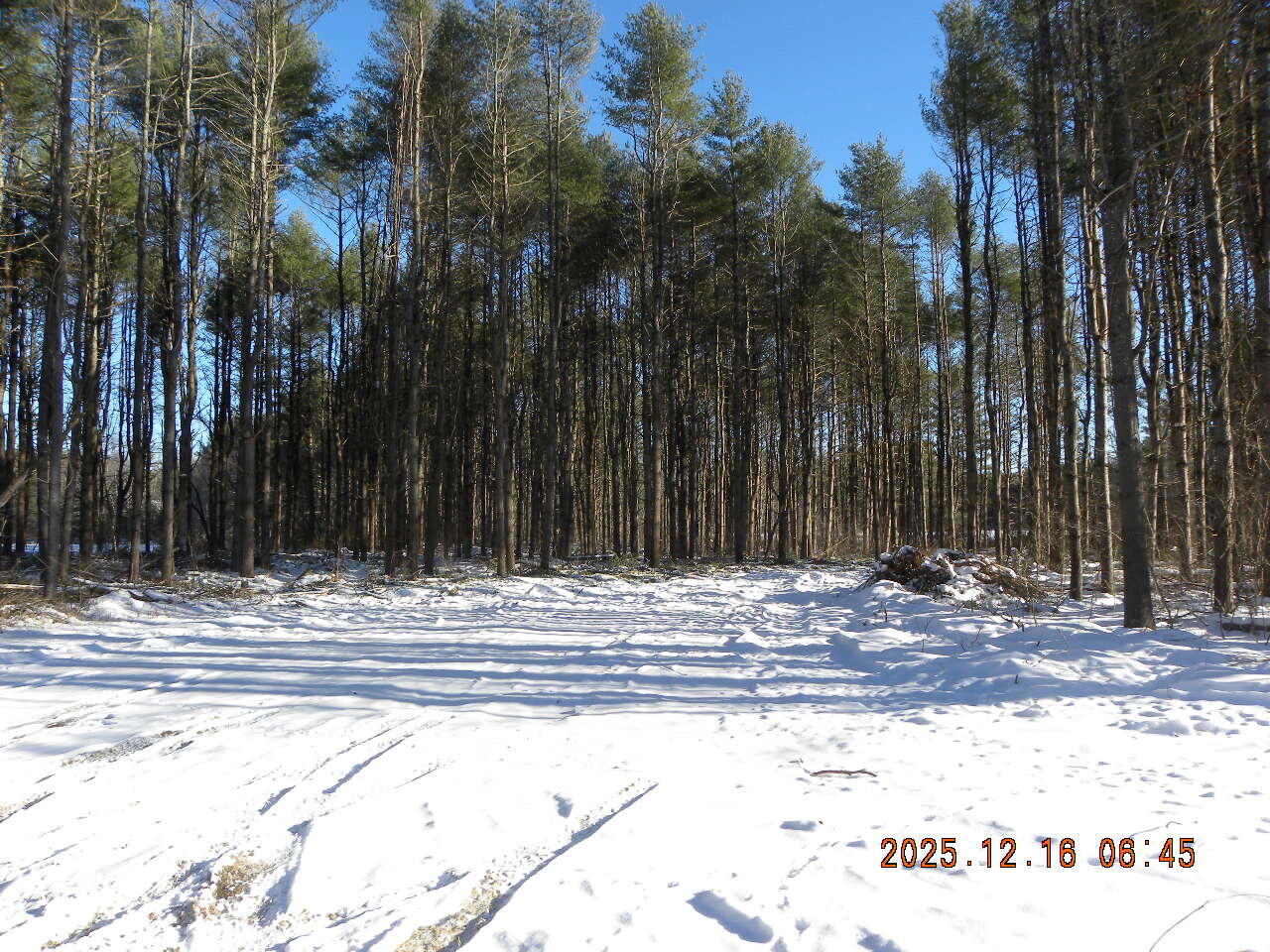 Lot A Bernier Road Sanford ME 04073