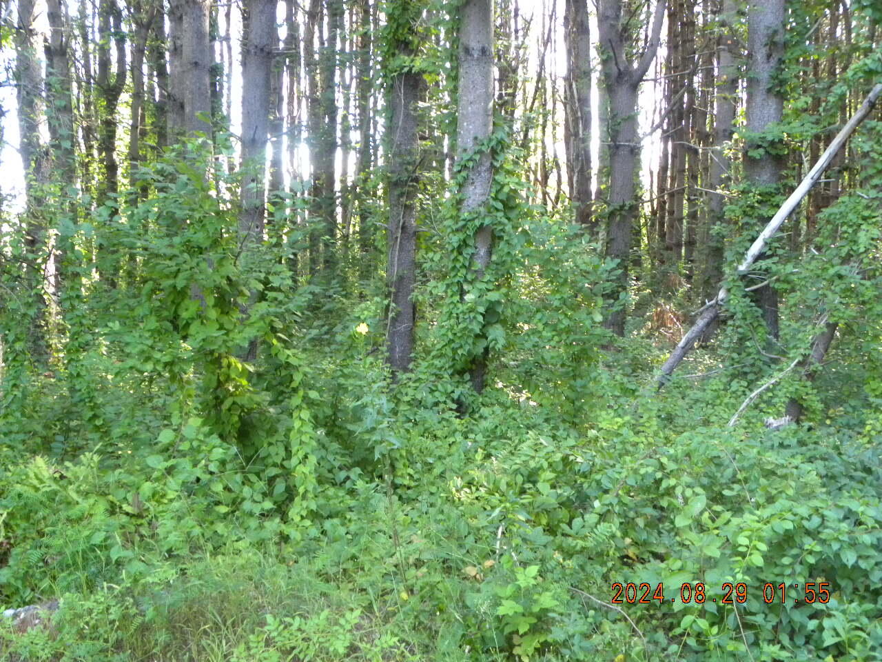 Lot A Bernier Road Sanford ME 04073