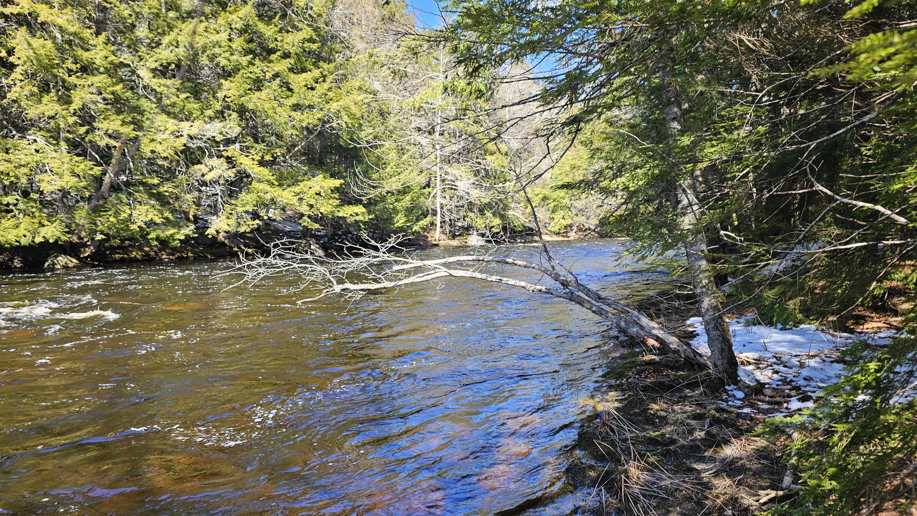 Lot #92 Smith Road Amherst ME 04605