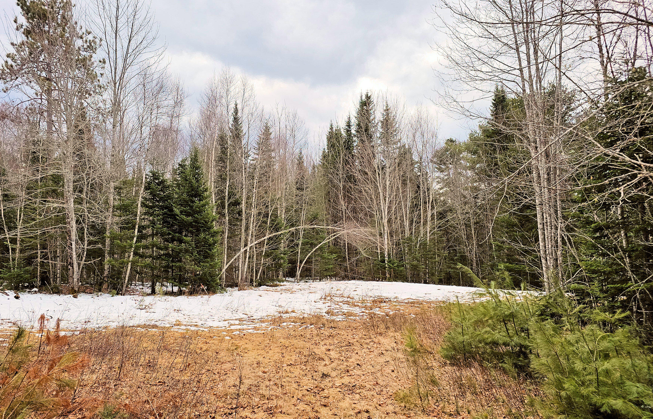 Lot #92 Smith Road Amherst ME 04605