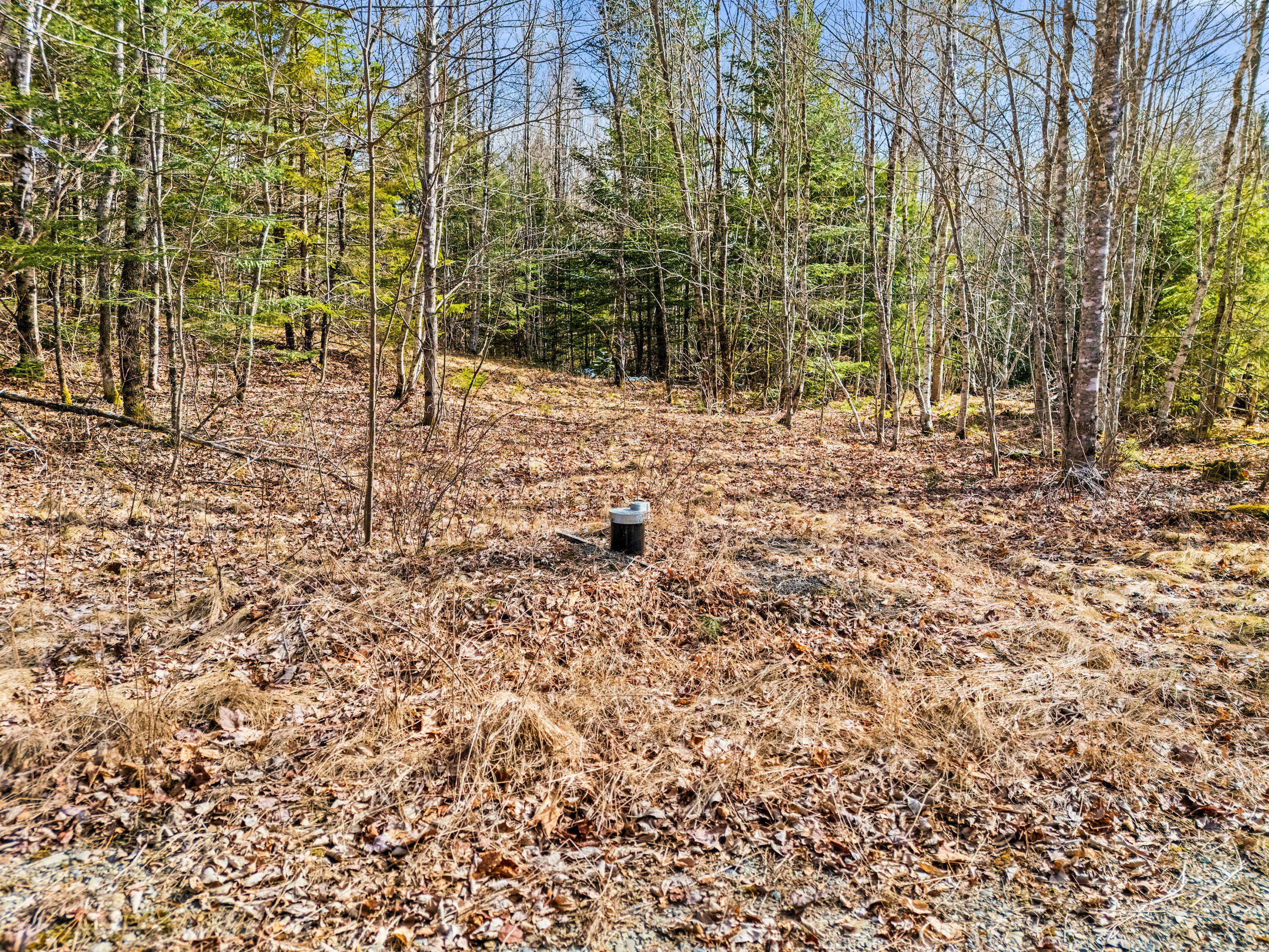 Lot #92 Smith Road Amherst ME 04605