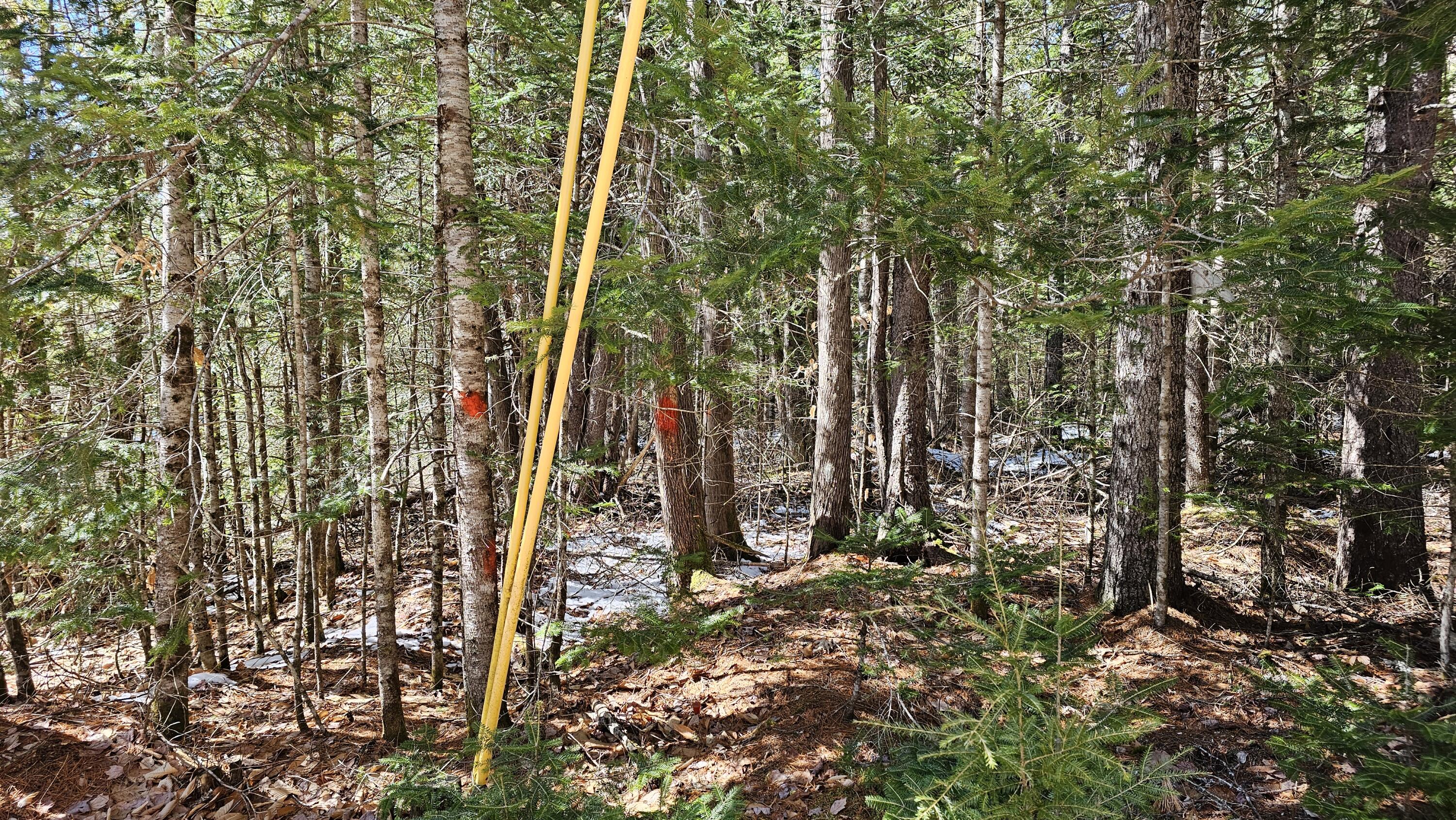 Lot #92 Smith Road Amherst ME 04605