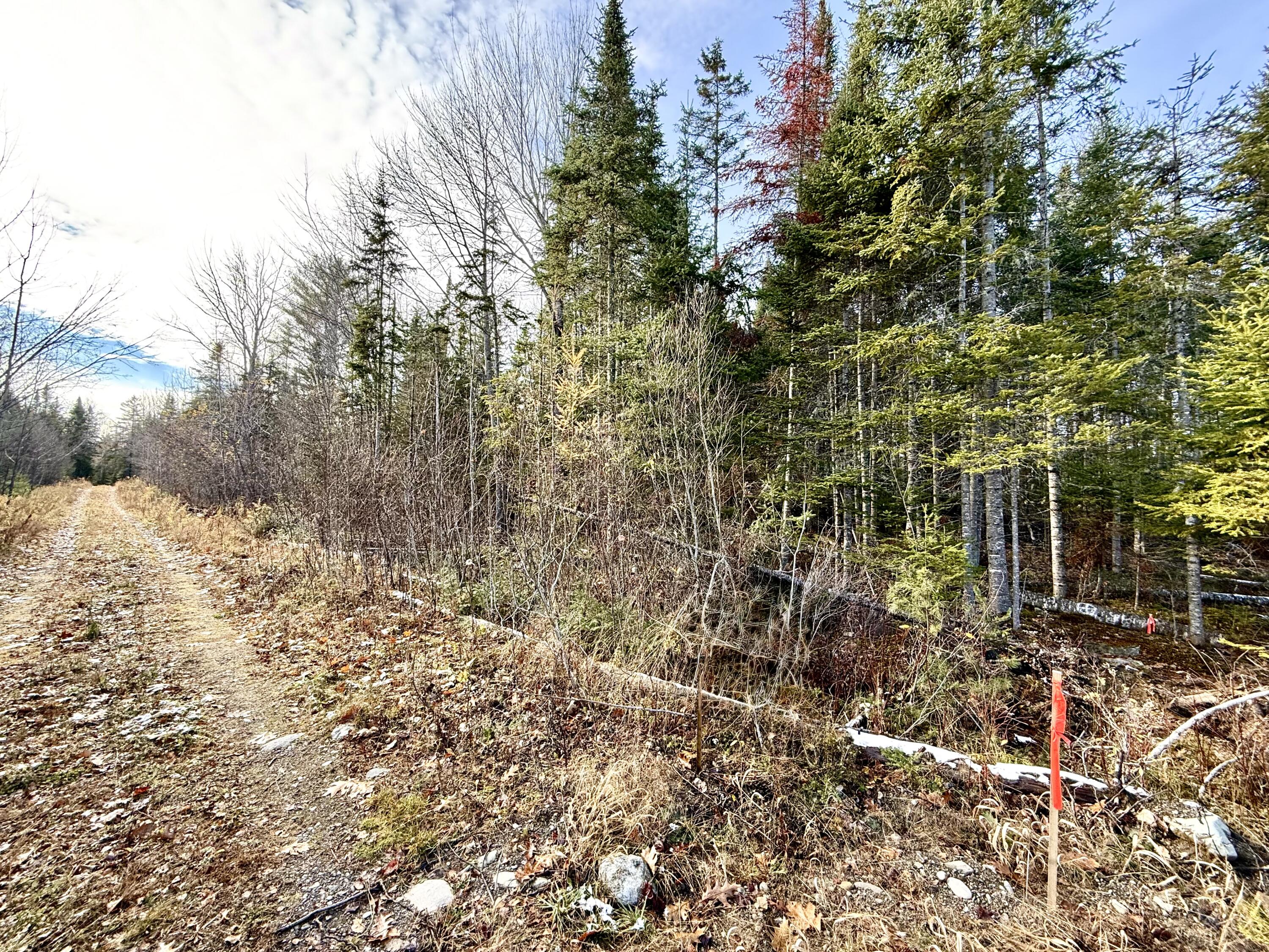 Hudson ME, 14-2 Hemlock Drive