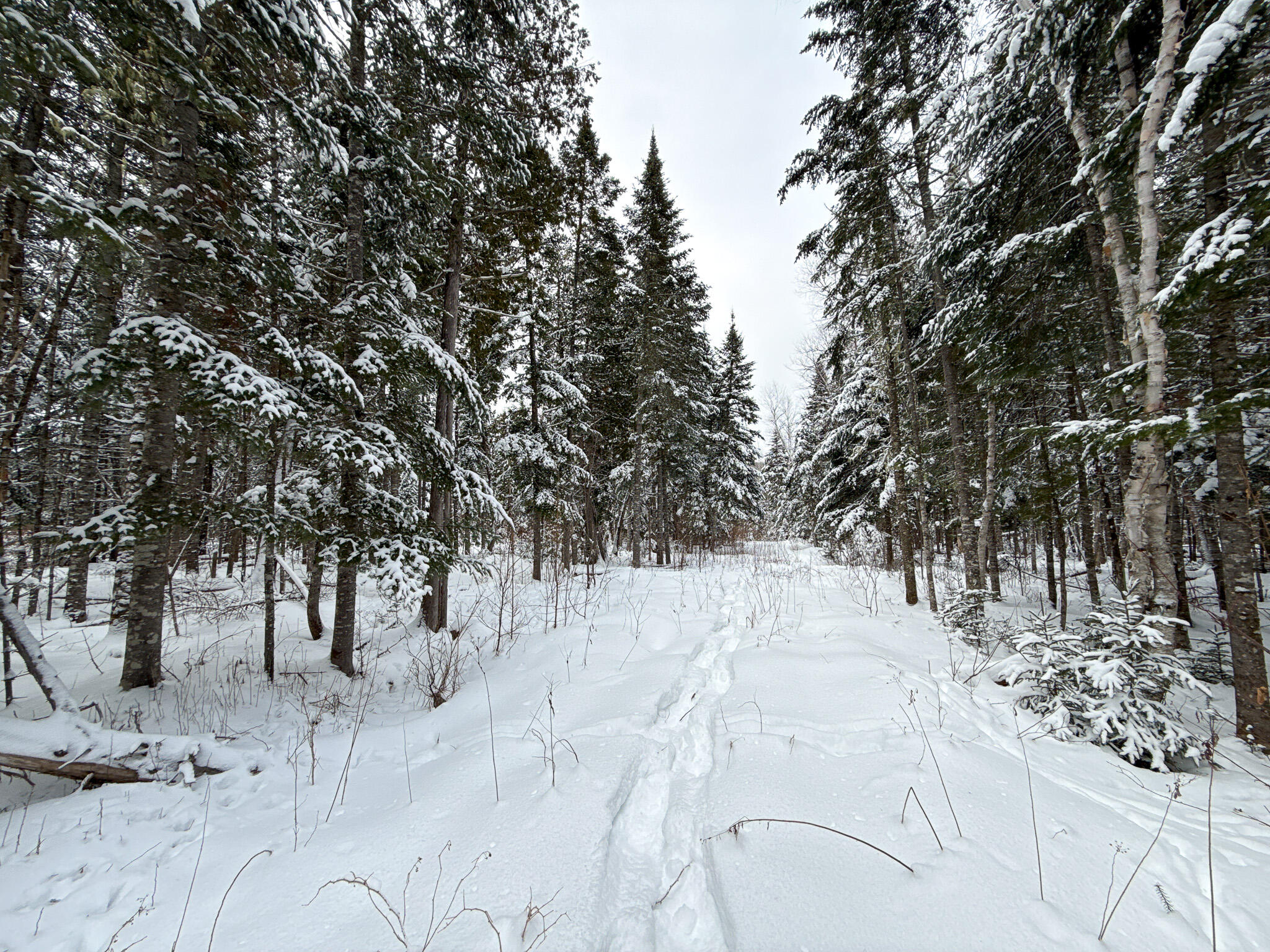 773 Wrightville Road Ashland ME 04732