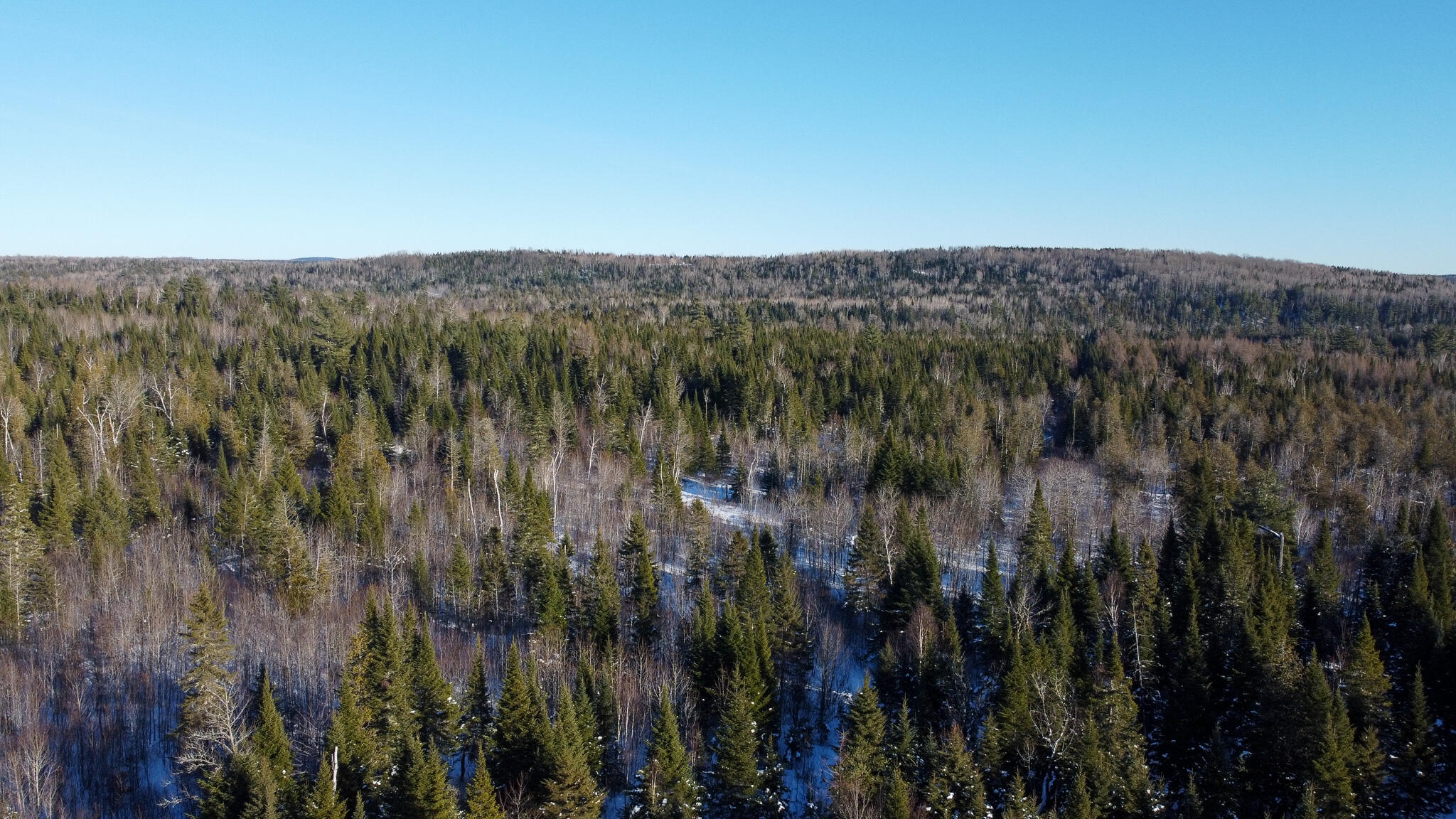 773 Wrightville Road Ashland ME 04732