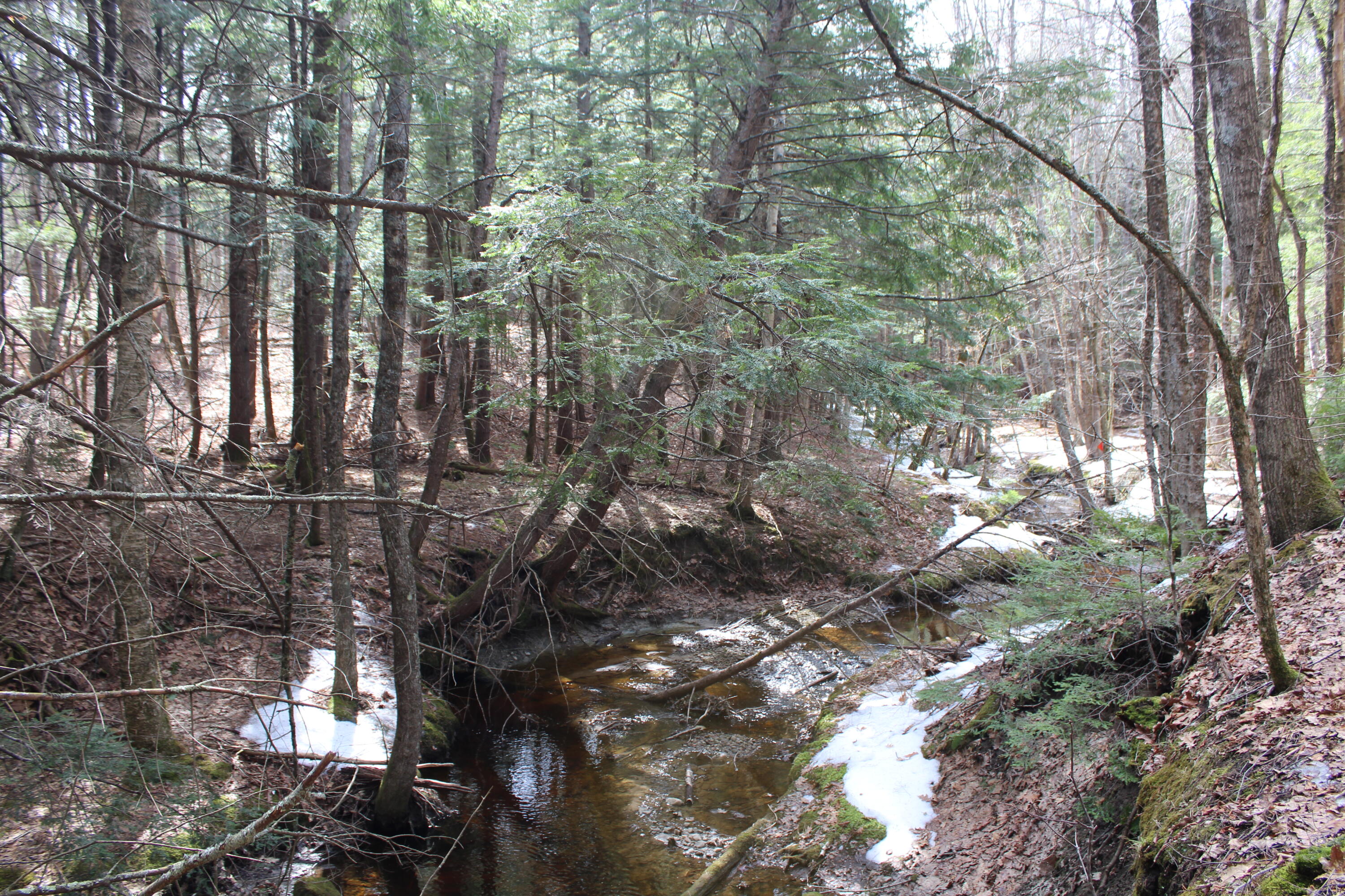 Lot 00e Knight Farm Road Kennebunk ME 04043