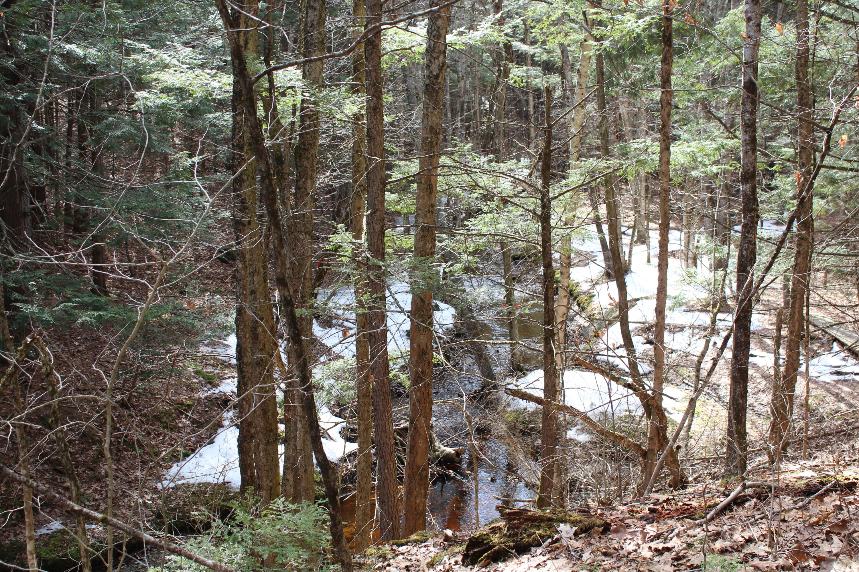 Lot 00e Knight Farm Road Kennebunk ME 04043