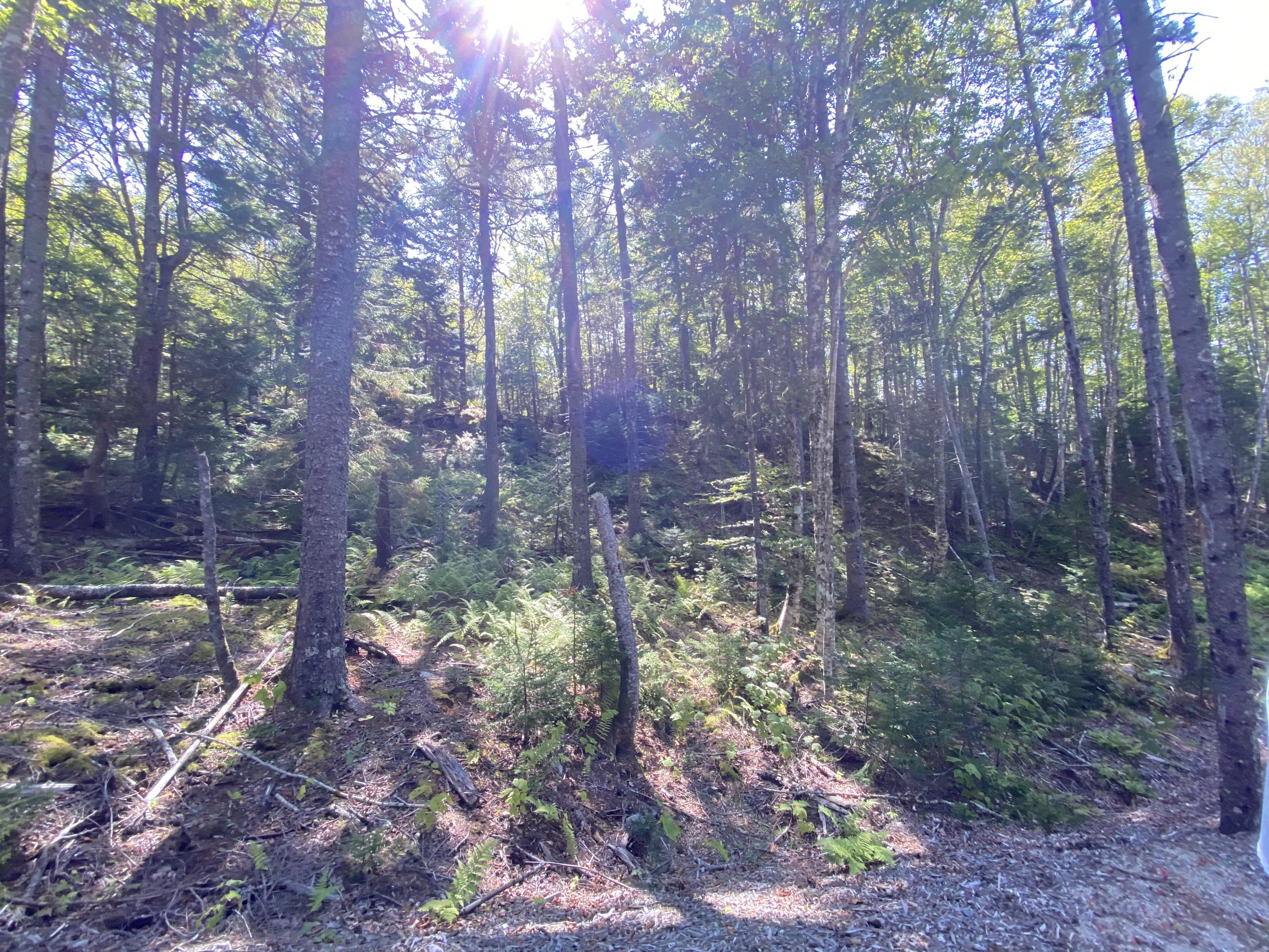 152 Condon Point Road Brooksville ME 04617