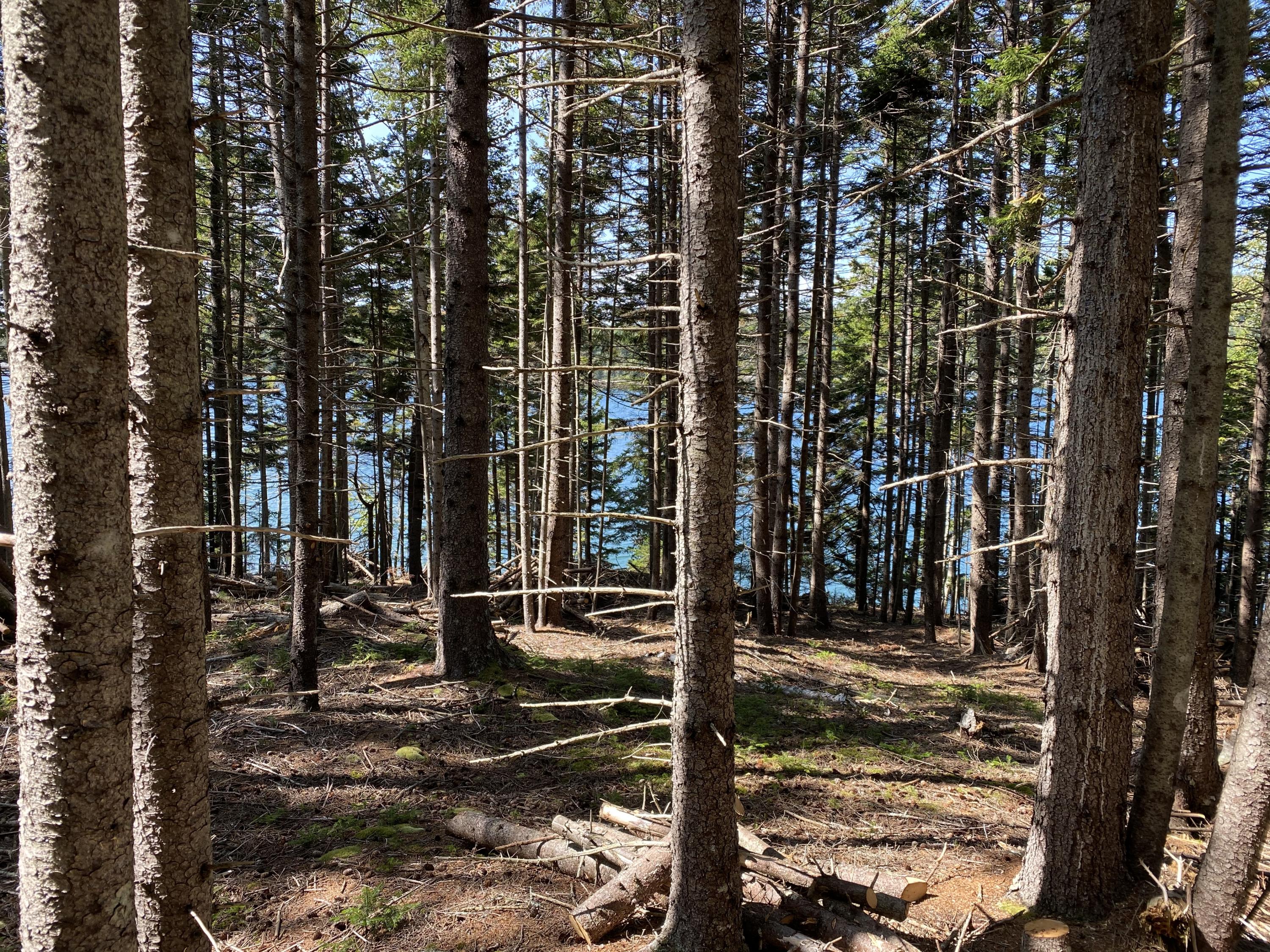152 Condon Point Road Brooksville ME 04617