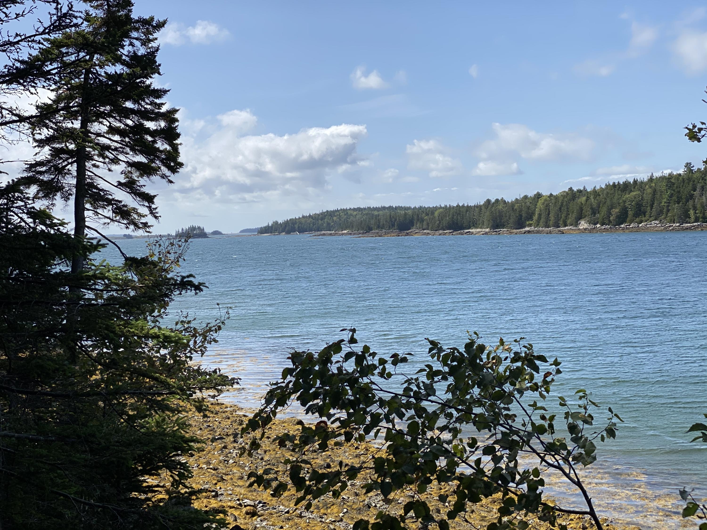 152 Condon Point Road Brooksville ME 04617
