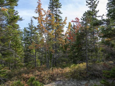 000 Seawall Map/lot 17/11-02 Road Southwest Harbor ME 04679