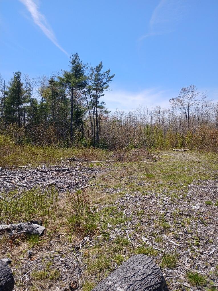 40 Eleanor Mae Road Deblois ME 04622