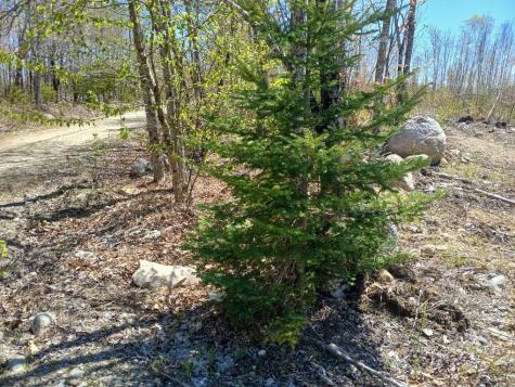 40 Eleanor Mae Road Deblois ME 04622