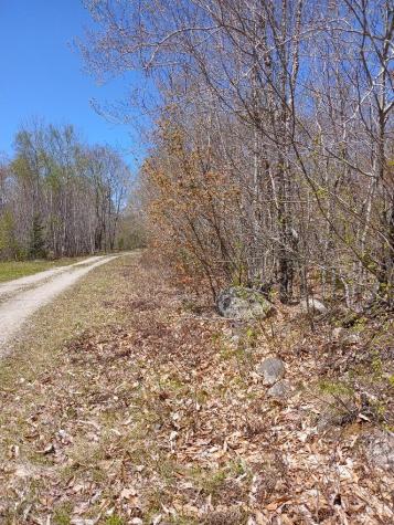 40 Eleanor Mae Road Deblois ME 04622