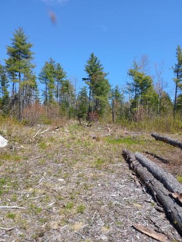 40 Eleanor Mae Road Deblois ME 04622