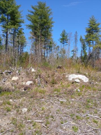 40 Eleanor Mae Road Deblois ME 04622