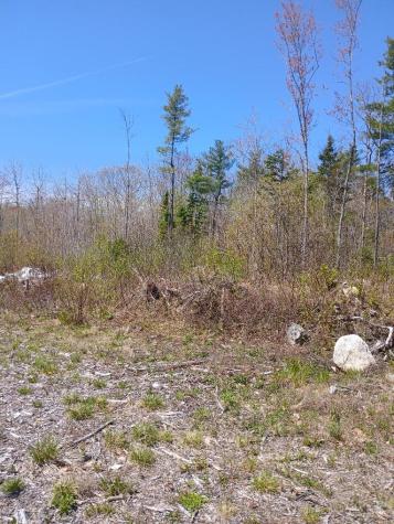 40 Eleanor Mae Road Deblois ME 04622