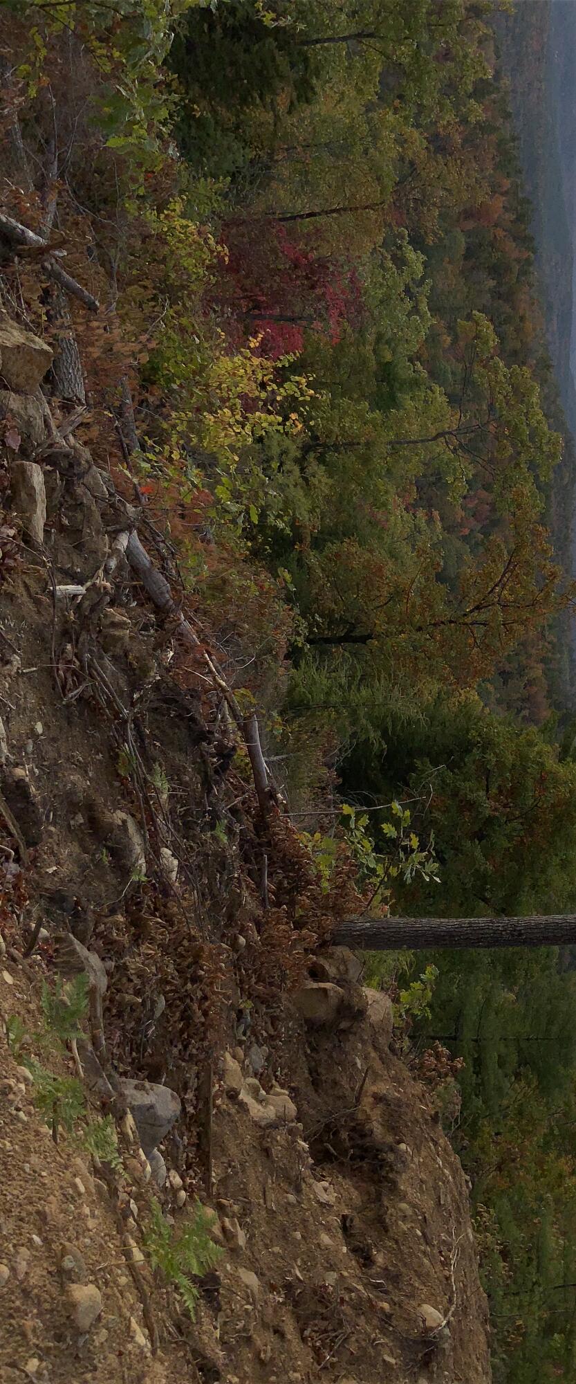 019 Upper Bear Lane Rumford ME 04276