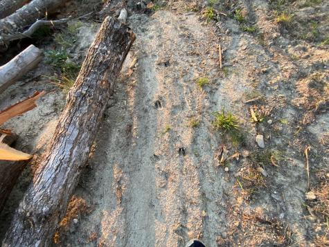 019 Upper Bear Lane Rumford ME 04276